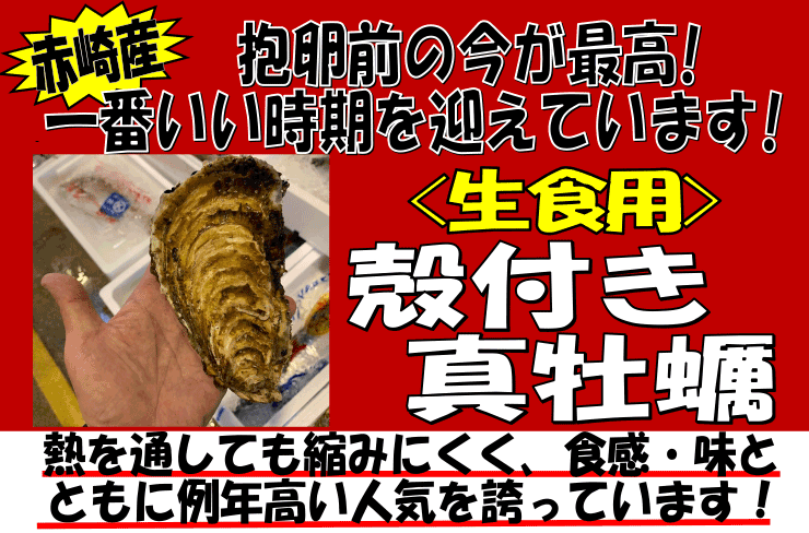 �ԍ�Y�@�k�t���^���y