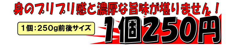 �ԍ�Y�@�k�t���^���y