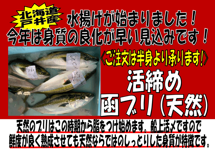 �k�C���ˈ�Y�@���Y�V�R�u��