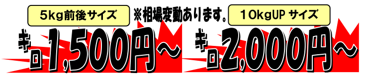 �k�C���ˈ�Y�@���Y�V�R�u��