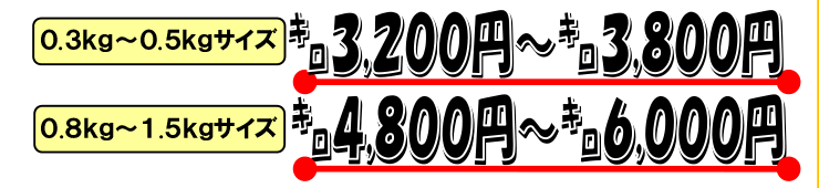 ���Q���Y�@�A�R�E�i�L�W�n�^�j