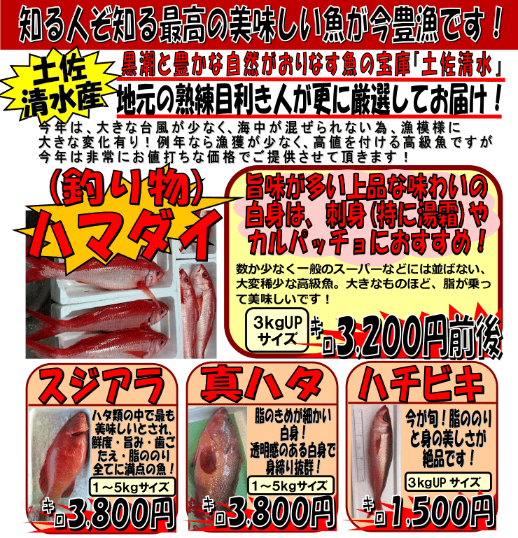 ���m���y���������W