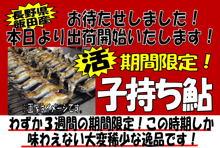 ���쌧�ѓc�Y�@���q������