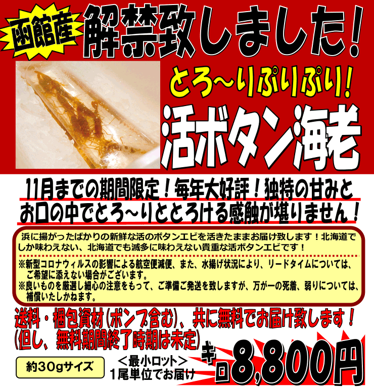 ���َY�@���{�^���C�V