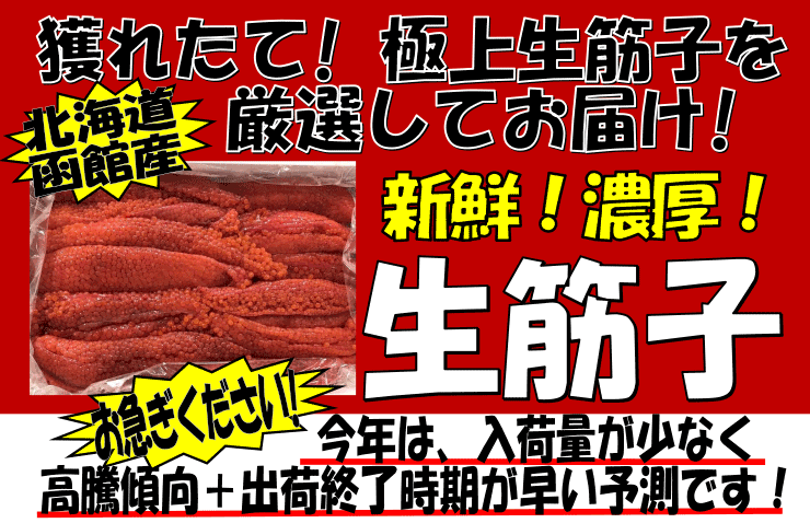 �k�C�����َY�@���؎q�i�������j