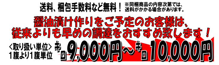 �k�C�����َY�@���؎q�i�������j