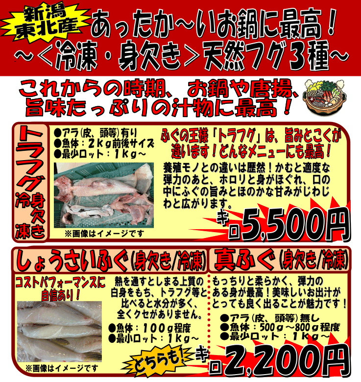 �V���Y���@�V�R�ӂ�