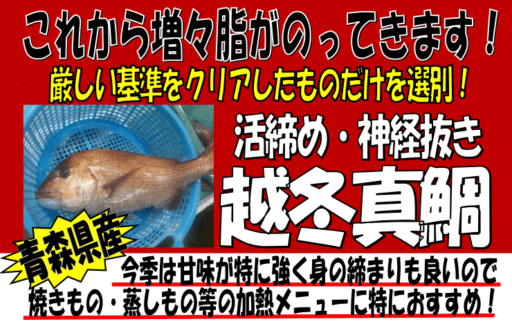 �X�Y�@�z�~�^��