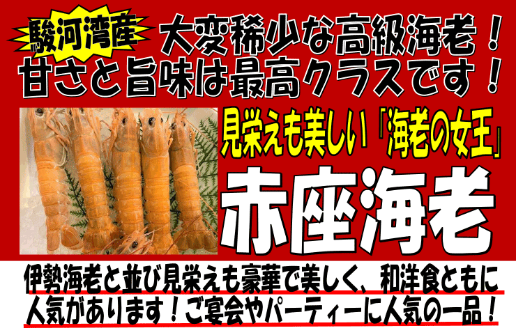 �x�͘p�Y�@�ԍ��C�V�i�X�L�����s�j