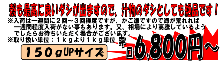 �x�͘p�Y�@�ԍ��C�V�i�X�L�����s�j