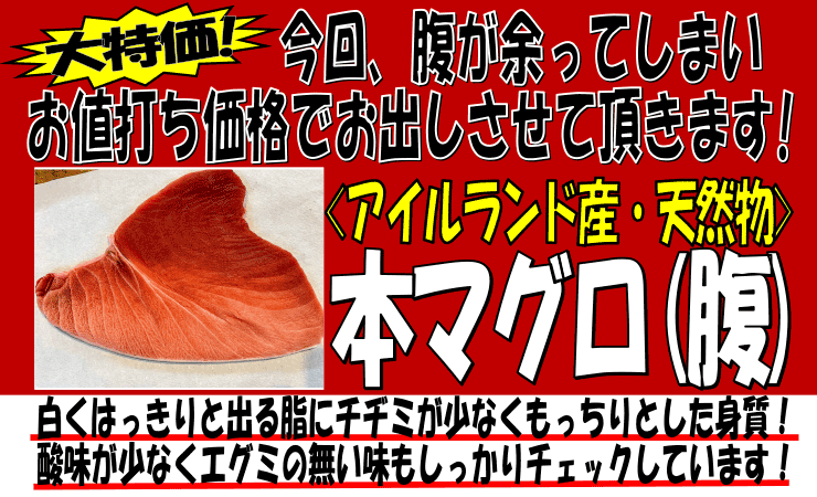 �A�C�������h�Y�@�V�R�{�}�O����