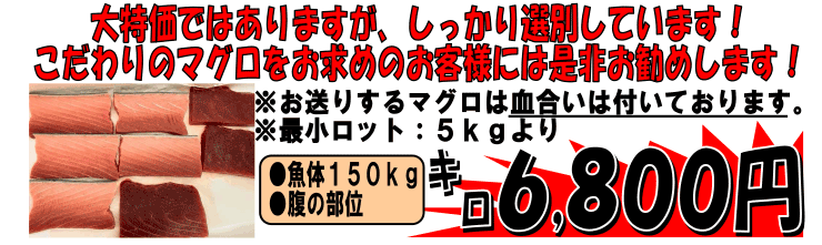 �A�C�������h�Y�@�V�R�{�}�O����