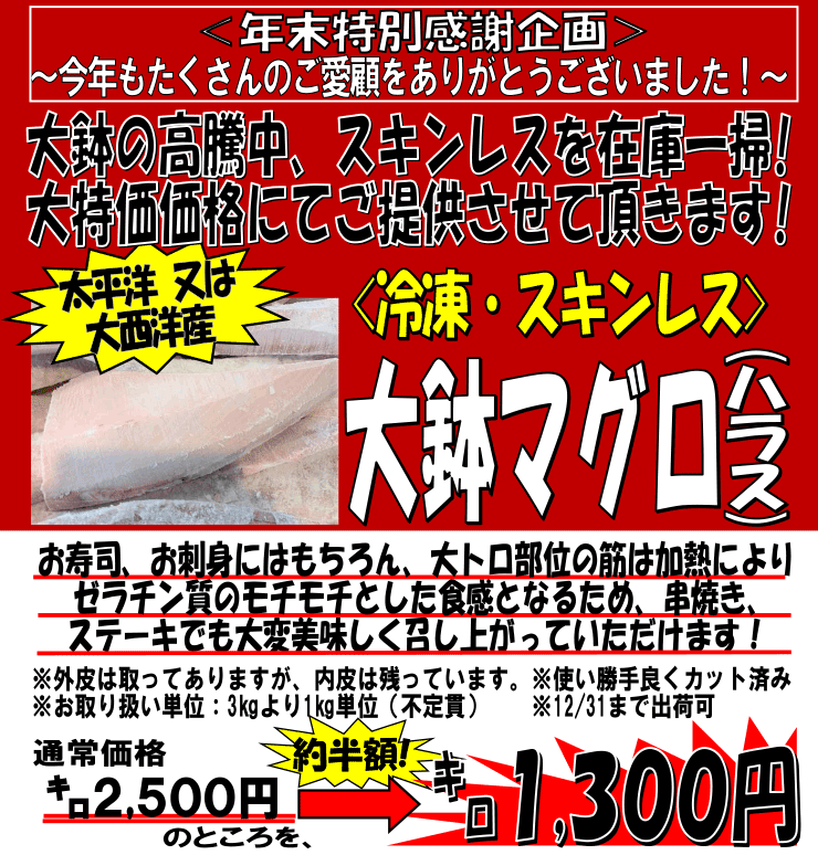 �Ⓚ�E�X�L�����X�@�唫�}�O���i�n���X�j