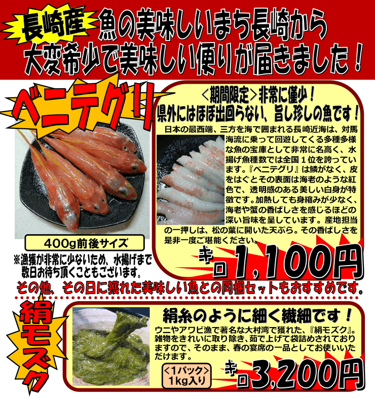 �x�j�e�O���@�@
���{�̍Ő��[�A�O�����C�ň͂܂�钷��ߊC�́A�Δn
�C���ɏ���ĉ�V���Ă��鑽�푽�l
�ȋ��̕�ɂƂ��Ĕ��ɖ������A��
�g�����퐔�ł͑S���P�ʂ��ւ��Ă�
�܂��B�w�x�j�e�O���x�͗؂��Ȃ��A��
���͂��Ƃ��̕\�ʂ͊C�V�̂悤�ȍg
�F�ŁA�������̂�����������g����
���ł��B���M���Ă��g�k�݂����Ȃ��A
�C�V��I�̍��΂�����������قǂ�
�[���|����悵�Ă��܂��B�Y�n�S���̈ꉟ���́A���̗t�ɊJ�����V�Ղ�B���̍��΂����𐥔��x�����\���������B

�����Y�N�@�@�E�j��A���r���Œ����ȑ呺�p�Ŋl�ꂽ�A�w�����Y�N�x�B�G�������ꂢ�Ɏ�菜���A䥂ŏグ�đ܋l�߂���Ă���܂��̂ŁA���̂܂܁A�t�̉��Ȃ̈�i�Ƃ��Ă��g�����������܂��B

