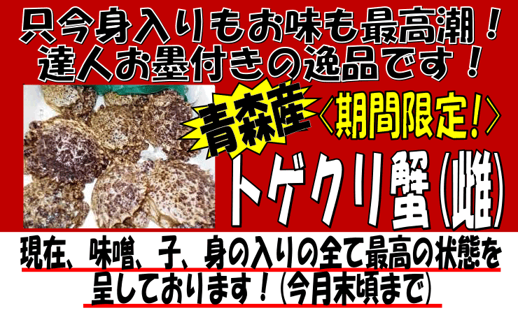 �X���Y�@�g�Q�N���I�i���j