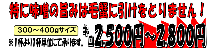 �X���Y�@�g�Q�N���I�i���j