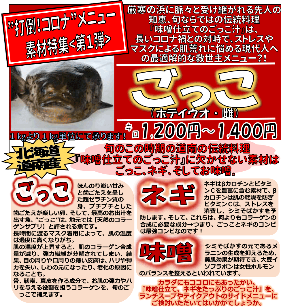 �k�C���Y�@������