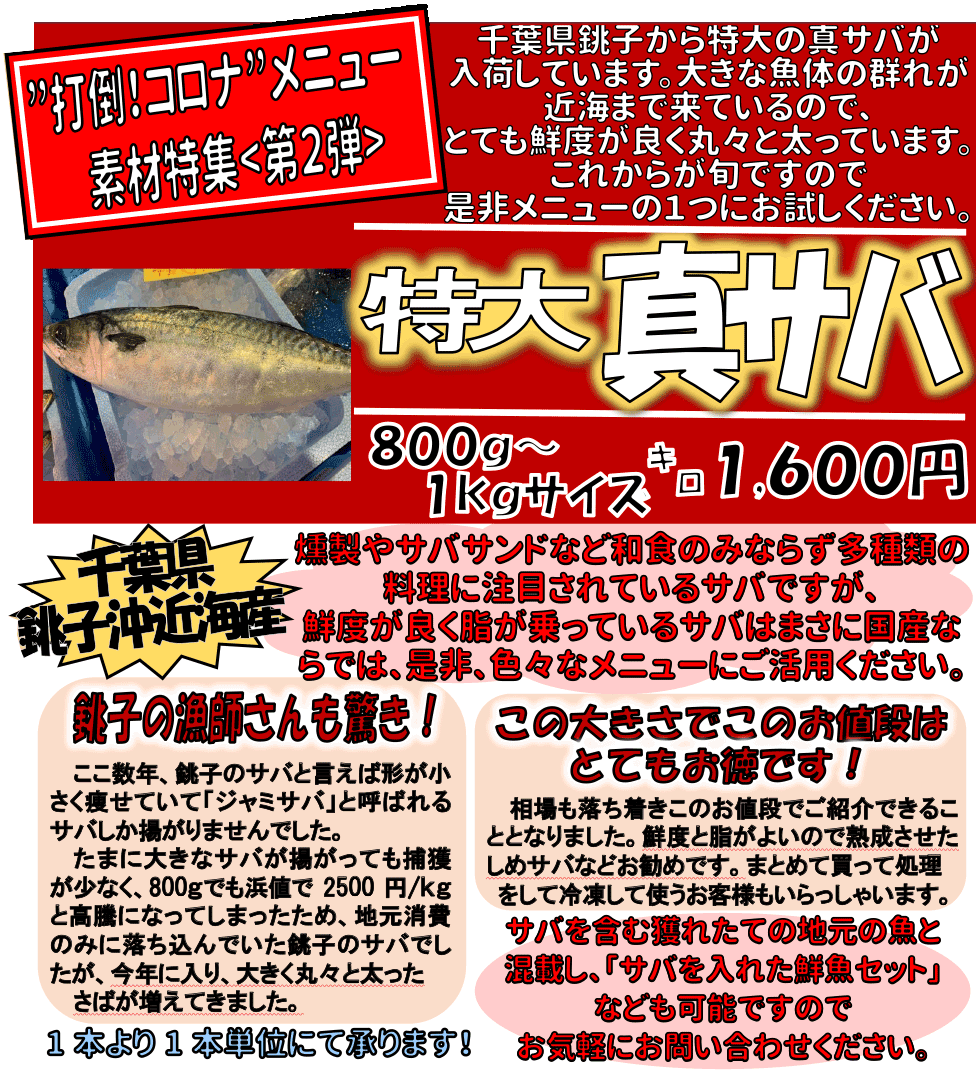 ��t�����q���ߊC�Y�@����^�T�o