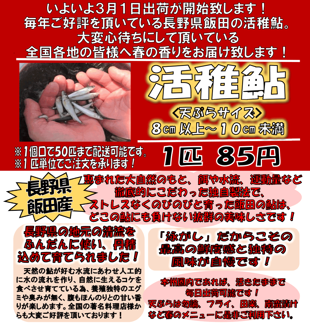 ���쌧�ѓc�Y�@���t�A��