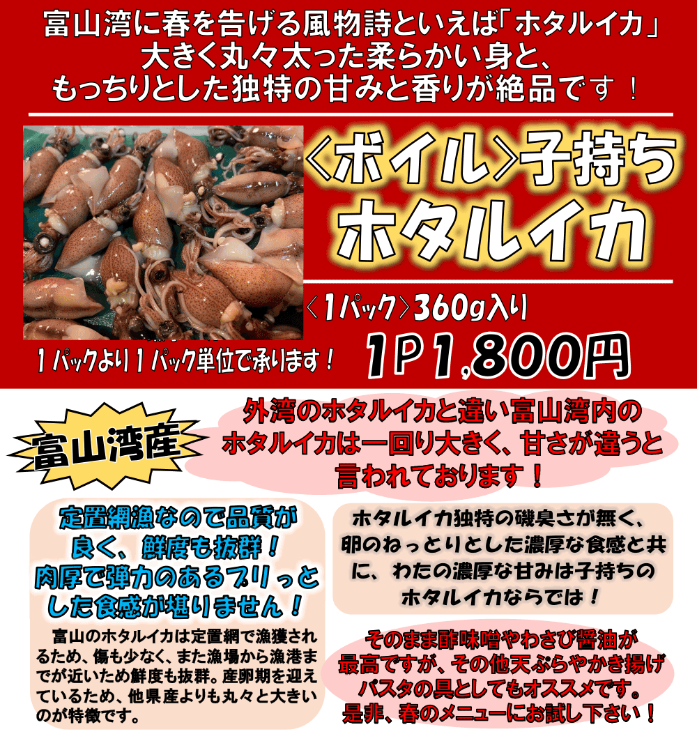 �x�R�p�Y�{�C���q�����z�^���C�J