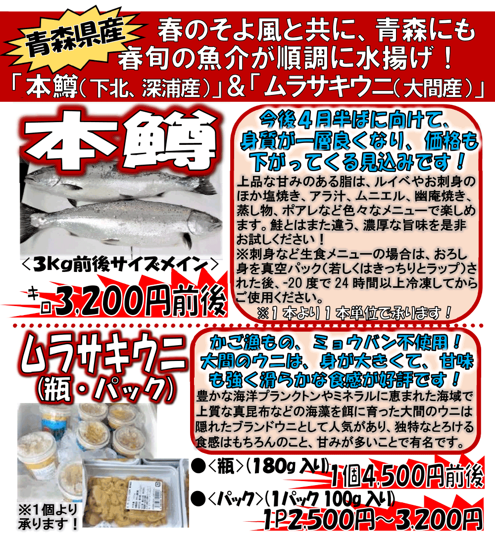 �X���Y�@�{���������T�L�E�j