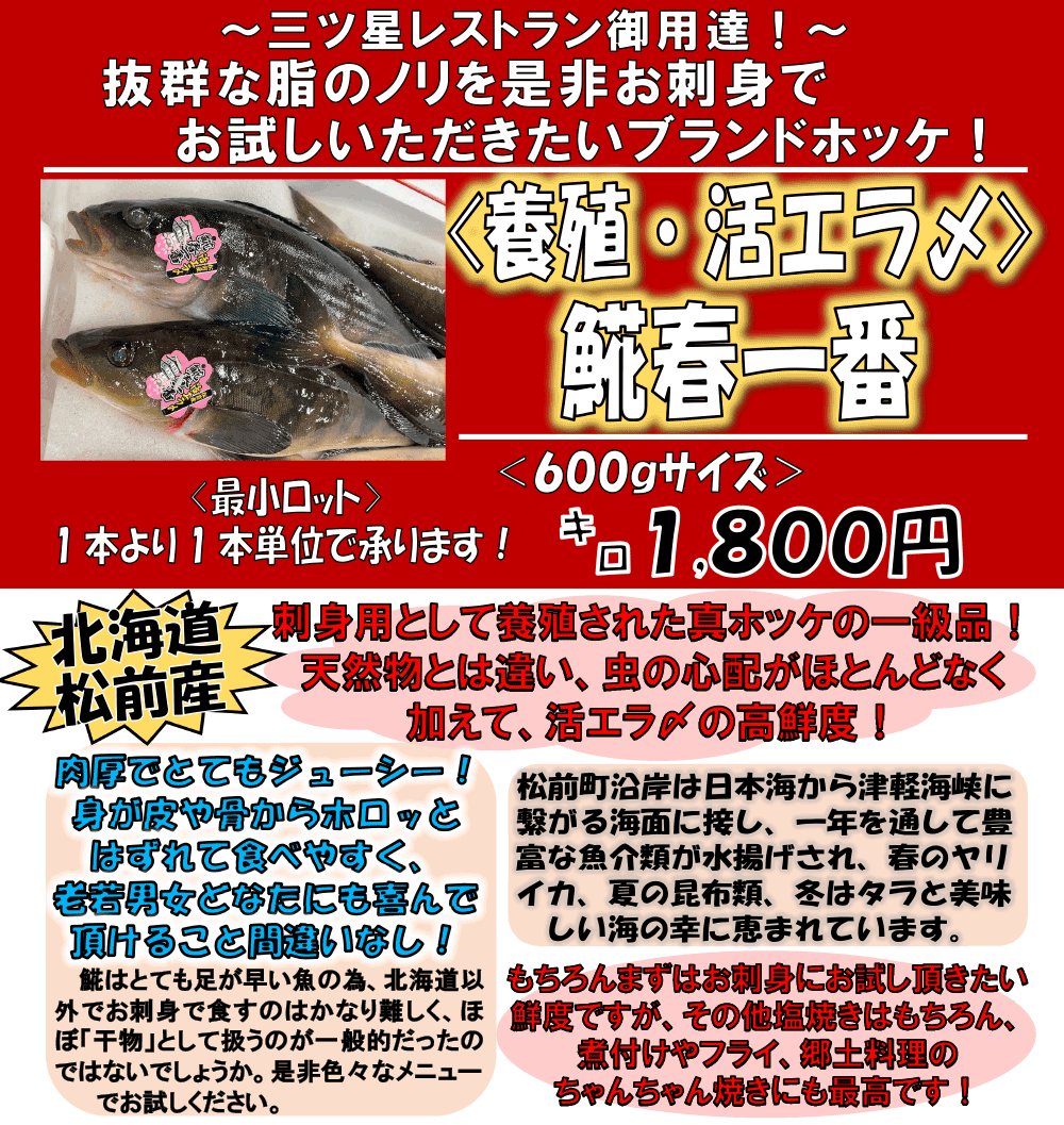 �k�C�����O�Y�@�z�b�P�t���